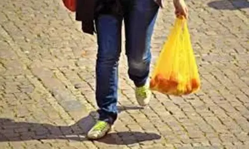 Carry your own bag, wash plastic packets from grocery stores