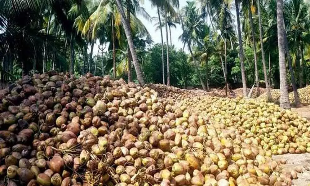 No coconuts in Hyderabad due to lockdown