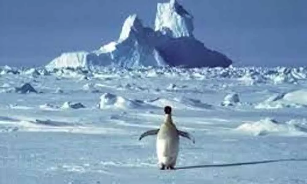 First ever heatwave recorded in Antarctica