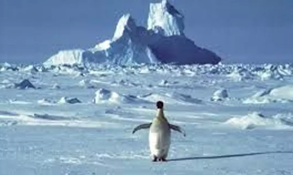 First ever heatwave recorded in Antarctica
