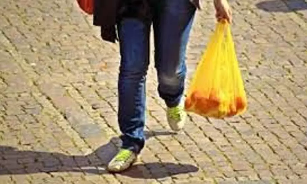 Carry your own bag, wash plastic packets from grocery stores