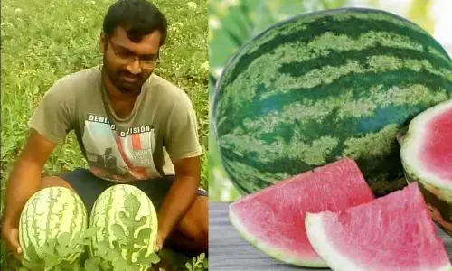 Telangana CM KCRs word fails to soothe frayed nerves of growers harvesting losses