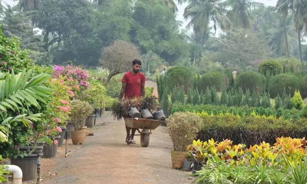 Rajamahendravaram: Flower market loses sheen due to lockdown