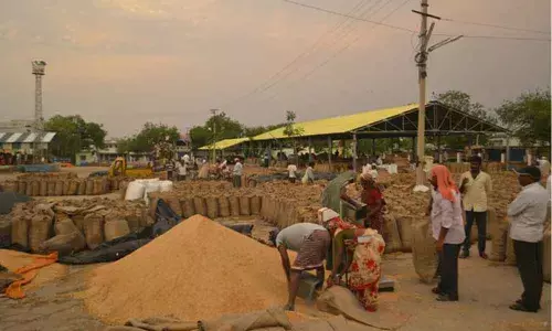 Vijayawada: Congress seeks opening of paddy purchase centres