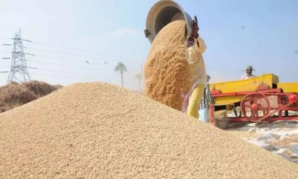 250 paddy procurement centres to be set up in Mahbubnagar