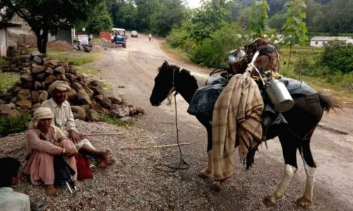 Tribal Gujjars, Bakarwals advised to suspend seasonal migration