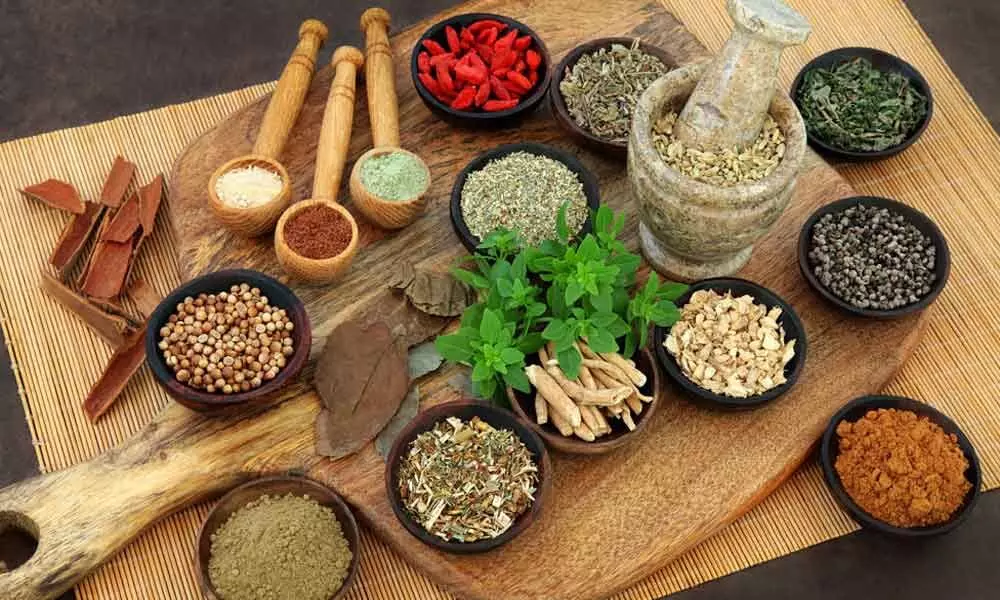 Ayurveda helps boost immunity against COVID-19: Experts