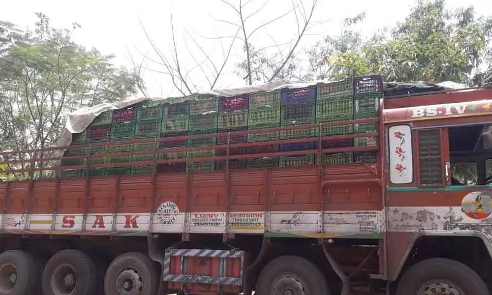 Andhra Pradesh:  Pulivendula bananas, Madanapalle tomatoes dot Vizag markets