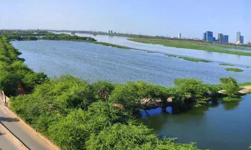 Lockdown Impact: Yamuna Sparkling Blue As Industries Remain Shut