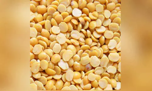 Kakinada: Red gram stocks dry up in ration shop