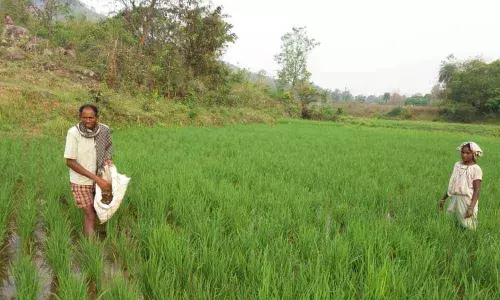 Vizianagaram: Lockdown norms relaxed for farmers