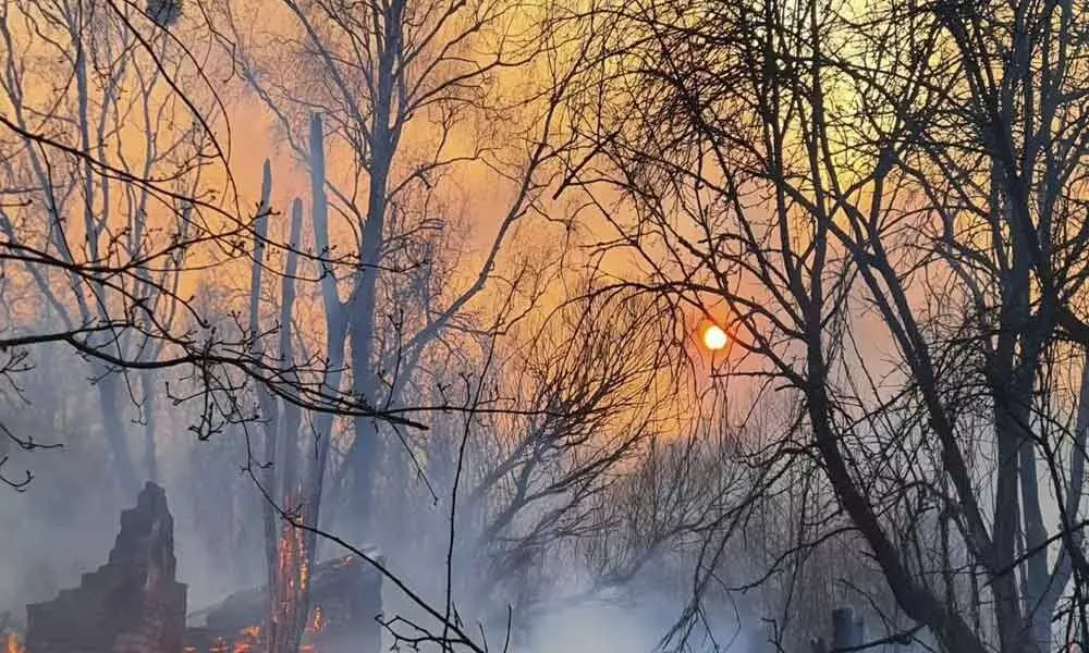 Forest fire breaks out near Chernobyl nuclear accident site, radiation levels see spike