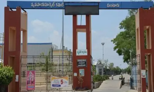 Guntur Mirchi Yard to remain closed till April end