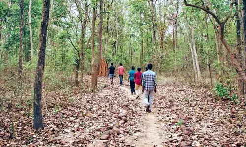 COVID-19 reaches Amazons indigenous people vulnerable to foreign disease