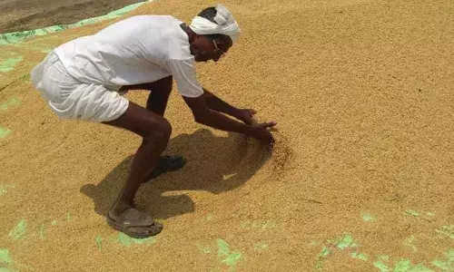 Karimnagar: Procurement centres in each village make farmers happy