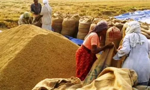 Telangana: Shortage of hamalis, gunny bags hit paddy procurement in State