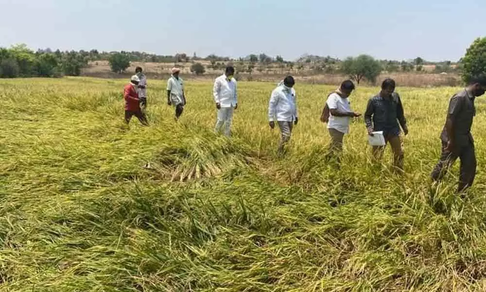 Khammam: Officials told to submit crop damage details