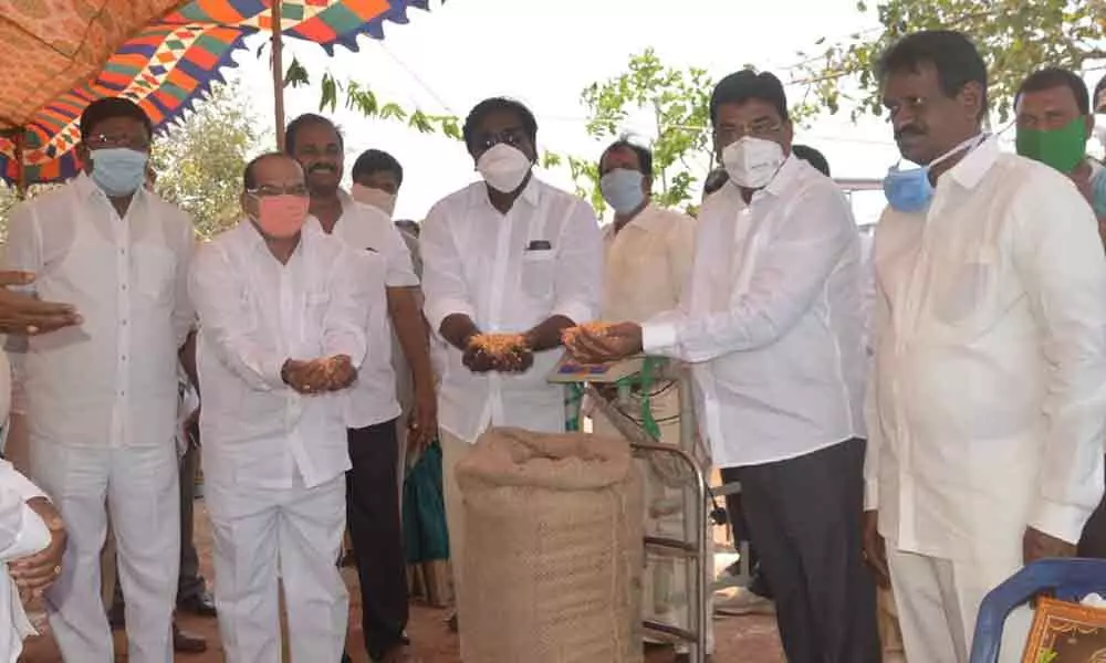 Telangana: Shortage of gunny bags haunts farmers in Khammam, Kothagudem