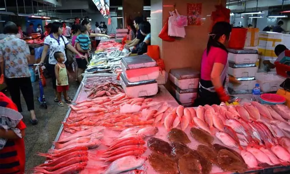 US lawmakers urge China to shut down wet markets