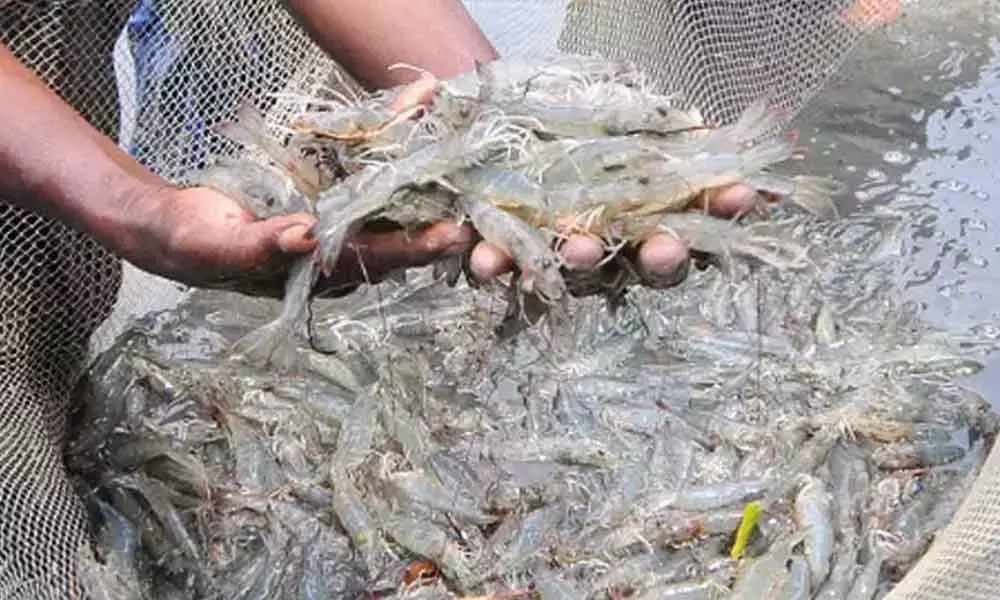 Pisciculture, aqua farmers in Telangana, AP exempted from lockdown