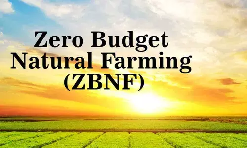 Kakinada: Coronavirus hits ZBNF cultivation