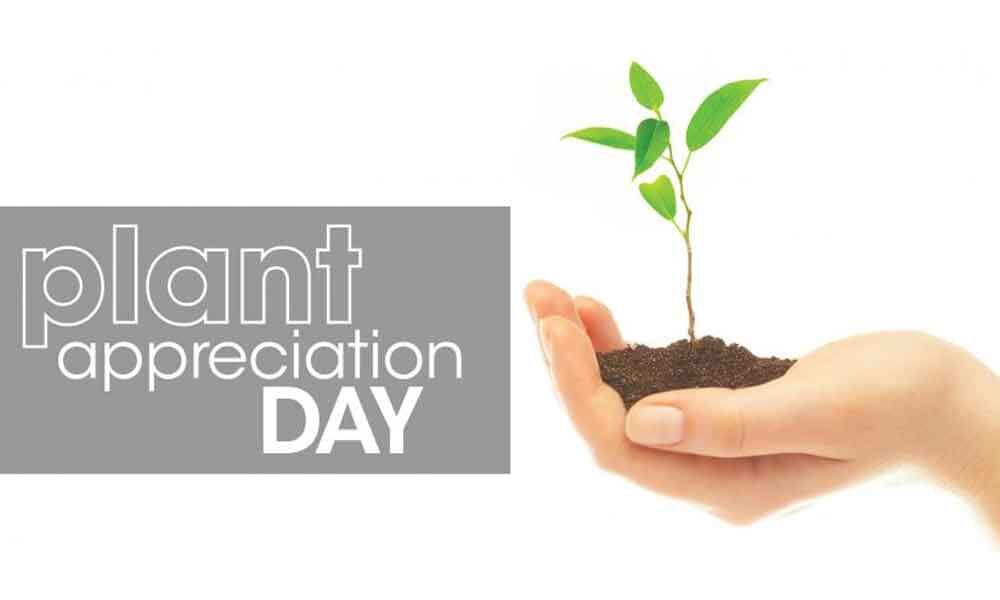 International Plant Appreciation Day