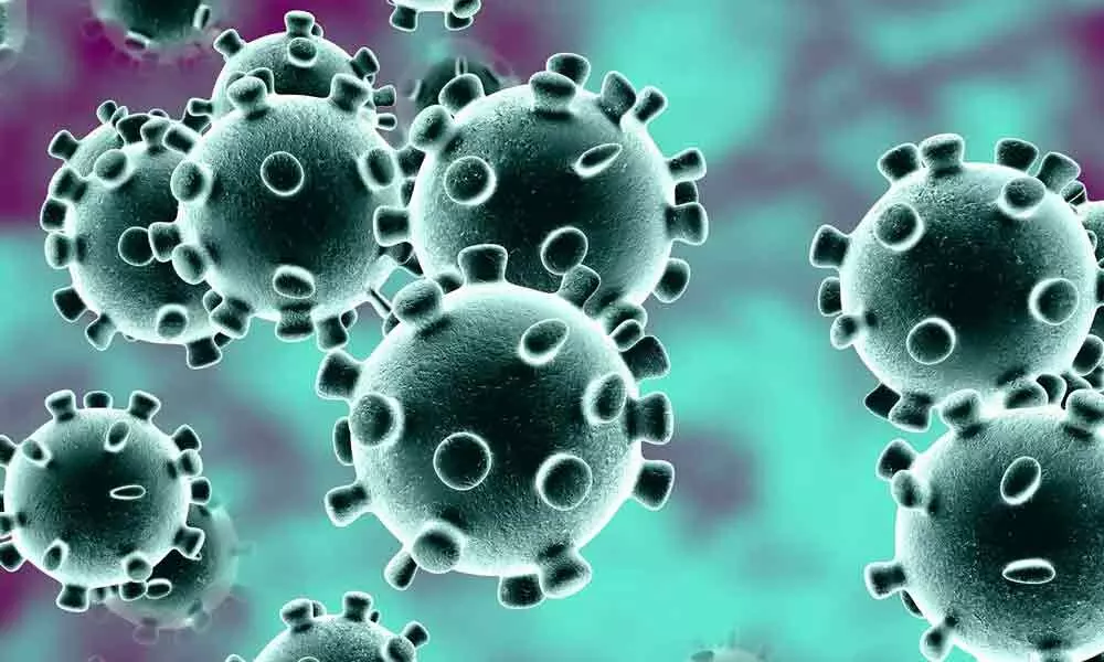 Coronavirus: 3 hotspots declared in Nellore city