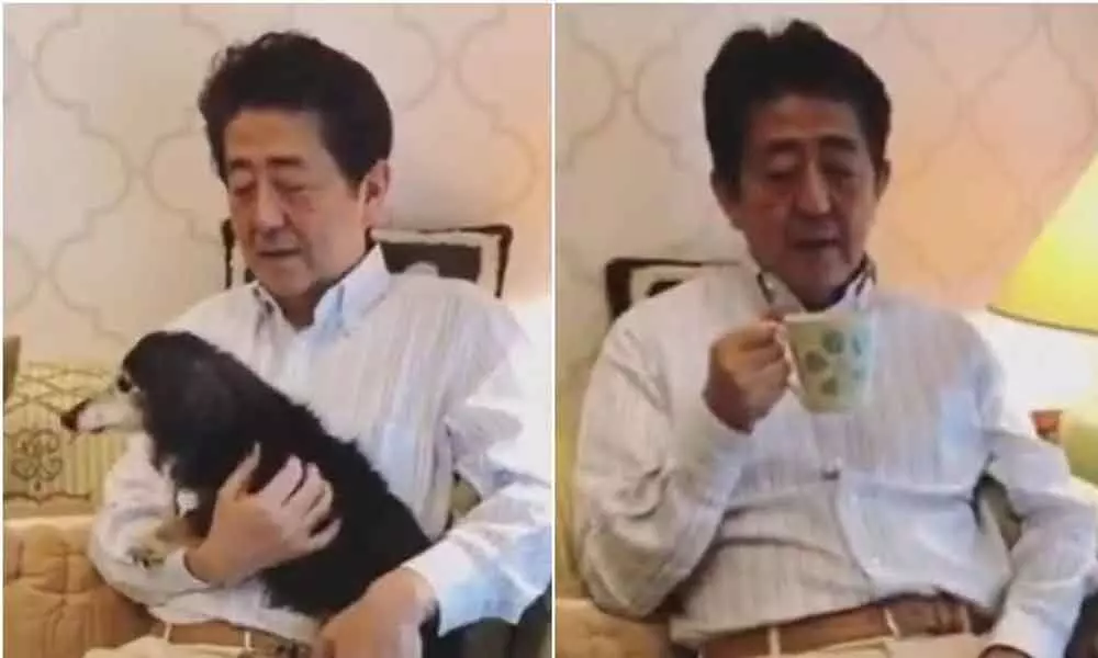 Japan PM Shinzo Abe criticised for stay at home video