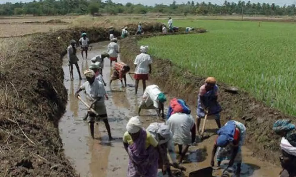 Odisha allows agriculture, fisheries, MNREGA works