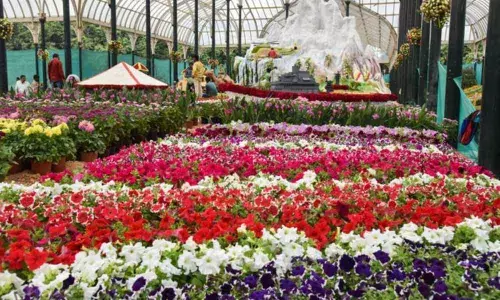 Rajamahendravaram: Growers allowed to transport flowers outside district