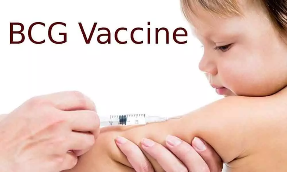 WHO cautions use of BCG vaccine