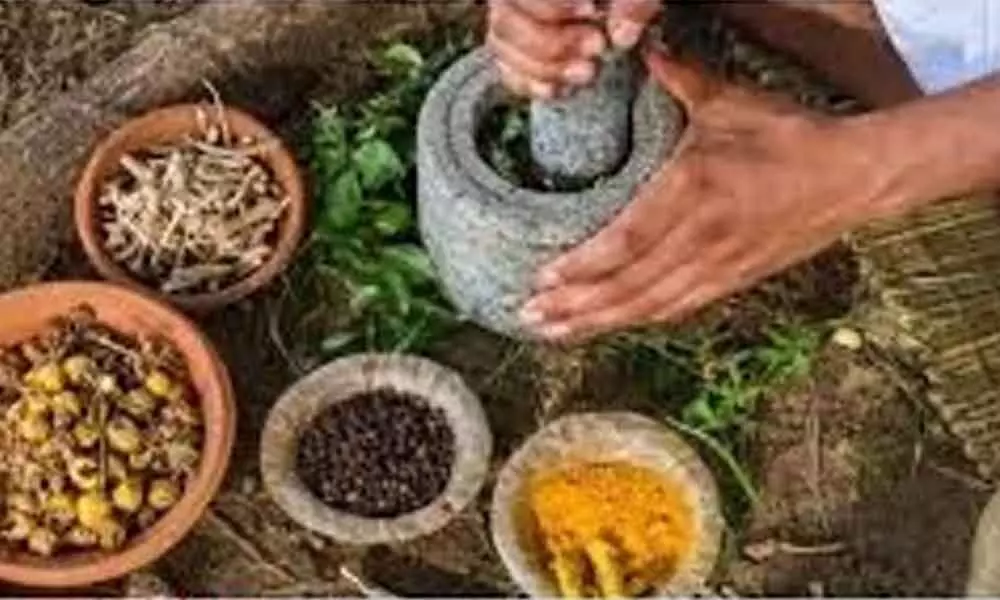 From Chyawanprash to herbs, Ayush Min issues guidelines on immunity boost