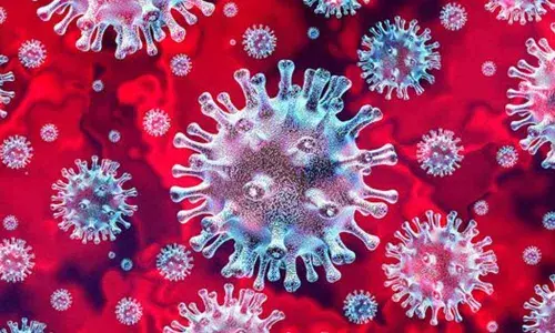 Social gatherings can be catastrophic in times of pandemic