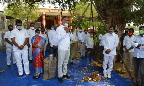 Siddipet: Harish Rao inaugurates paddy procurement centres