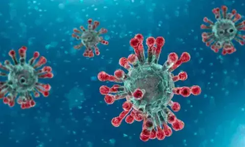 Tally rises to 572 in Andhra Pradesh with 38 new coronavirus cases