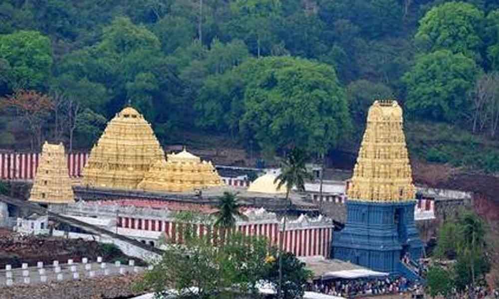 Sandalwood grinding ritual begins at Simhachalam temple