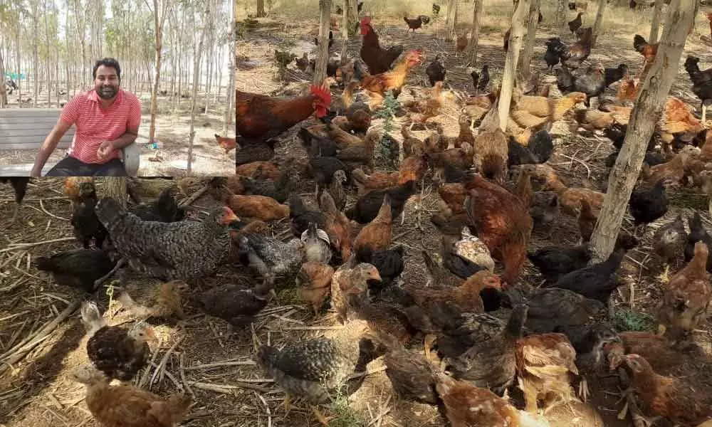 Anantapur: Techies love for fowls, farming