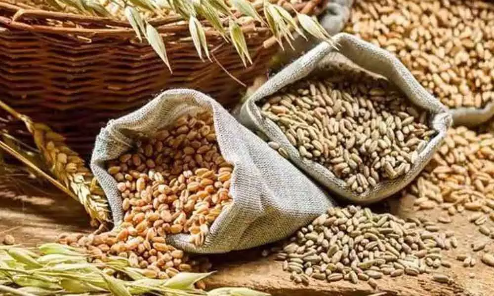 Visakhapatnam: Centre to provide foodgrains to NGOS under OMSS
