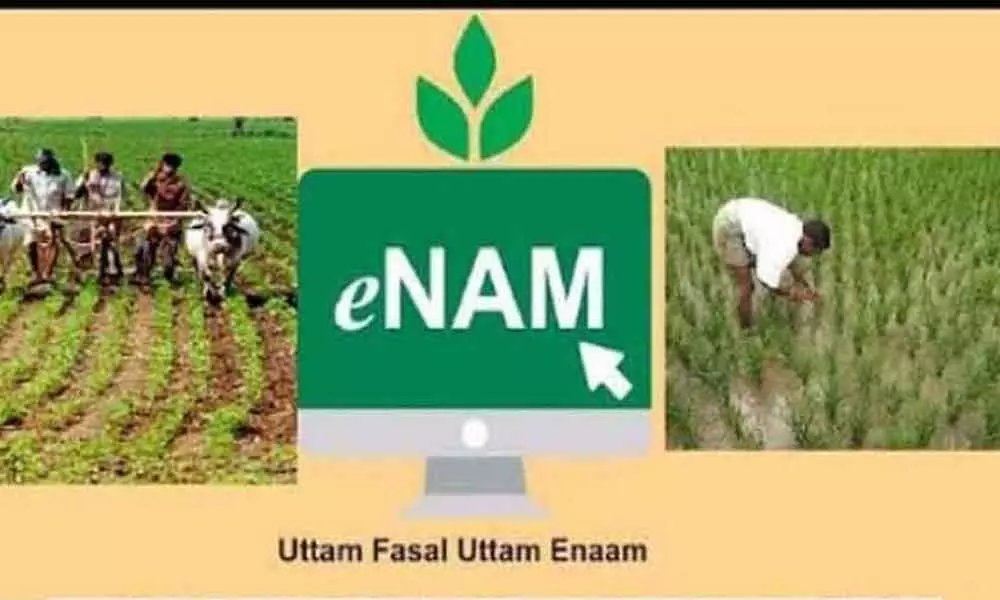 e-NAM rolls out new steps to help ease farmers woes