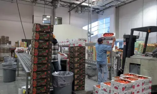 Lockdown Restrictions: What Will Be Allowed From Today? Know More