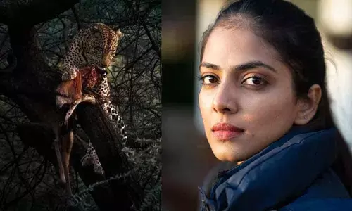 For Vijays Master Actress Malavika Mohanan, Its All In The Genes