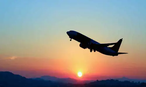Flight restrictions to be lifted when COVID-19 is controlled: Government
