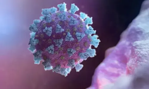 No Coronavirus cases after March 24 in Kothagudem dist