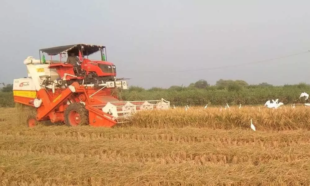 Farmers struggle despite bumper harvest at Warangal
