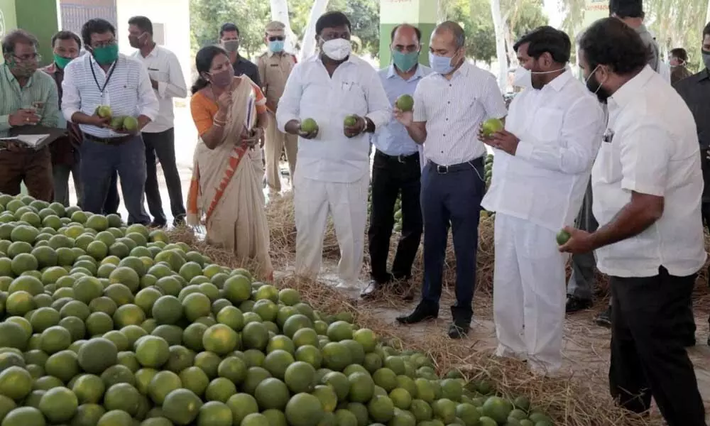 Sweet lime purchase centre opened in Nalgonda