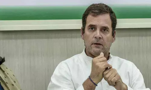 Rahul Gandhi slams government for allowing use of rice to make sanitiser
