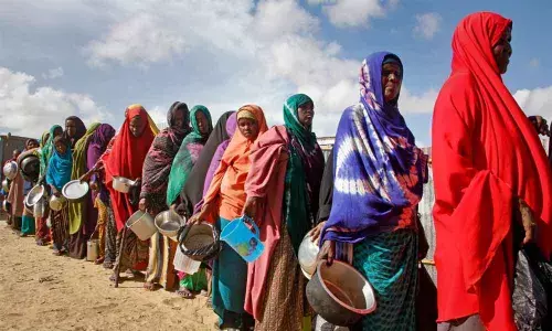 Global hunger may double: United Nations