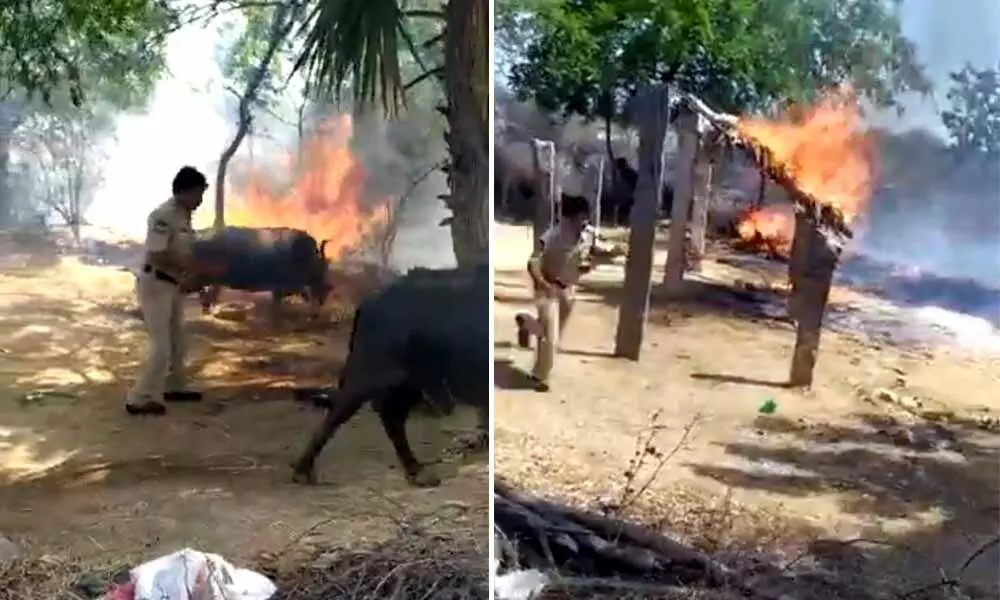 Hyderabad police rescue cattle from fire, gets praised by DGP