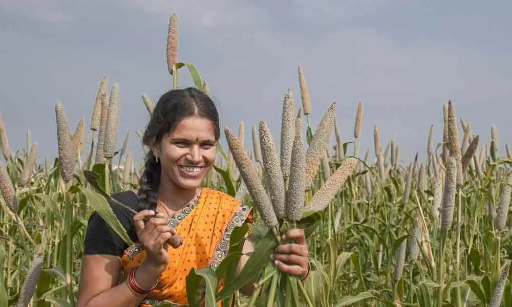 Hyderabad: Pair millets, legumes to scale up Covid combat