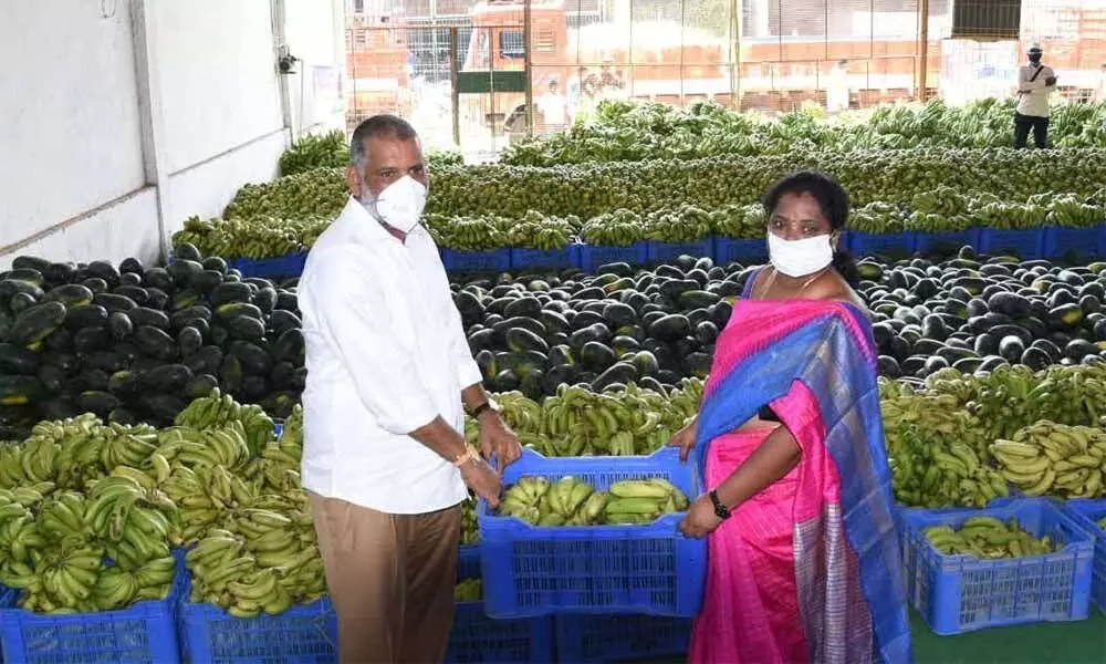 Tirupati: MLA C Bhaskar Reddy launches distribution of 2,500 tonnes of fruits to 1.6 lakh families